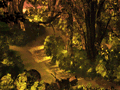 Map thumbnail of the Forest