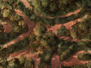 Forest Submap03.webp